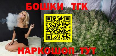 гидра Ставрополь