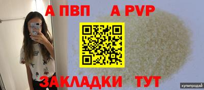 гидра Ставрополь